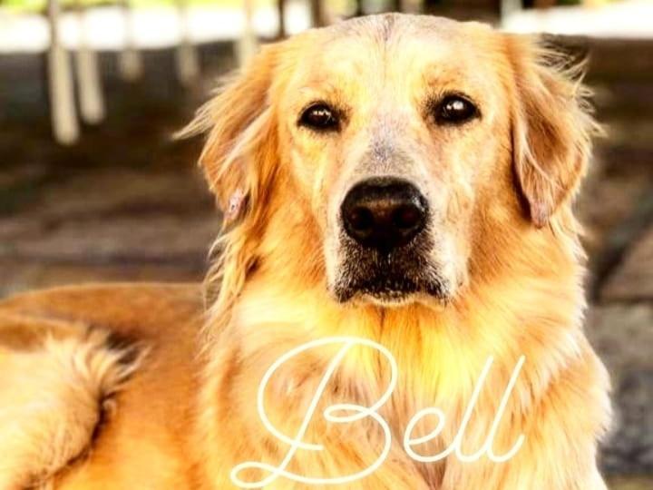 Pousada Da Bell Барейриняс Екстериор снимка